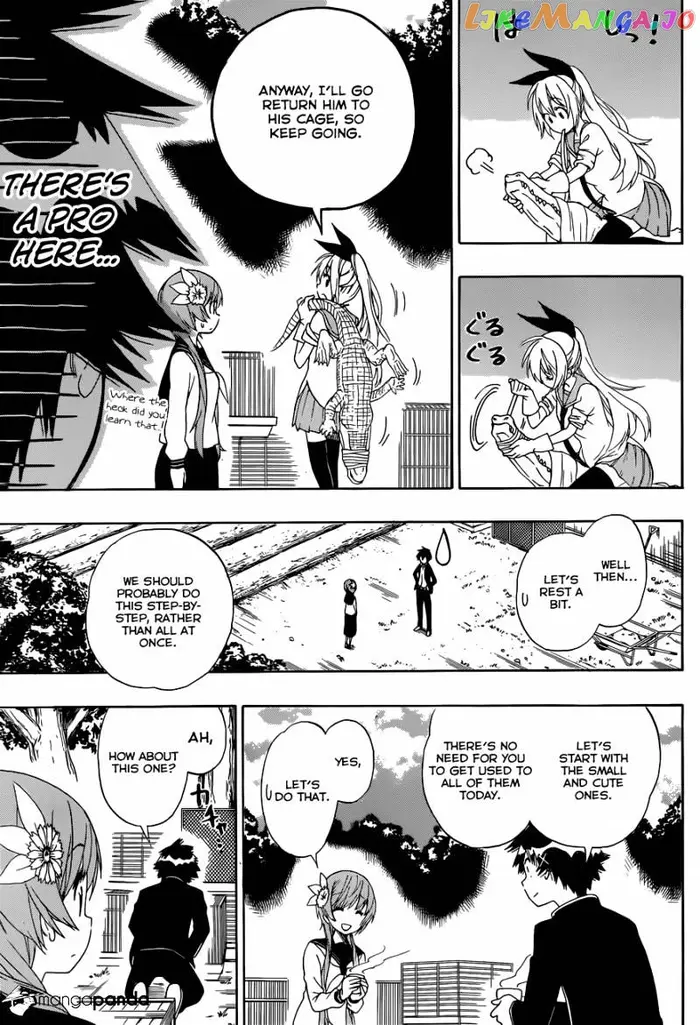 Nisekoi Chapter 142 image 14_optimized